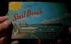 Shell Beach