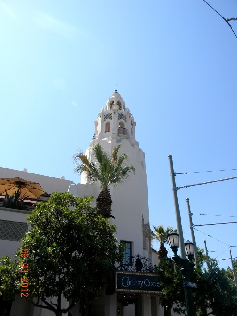 DSCN6567.jpg
