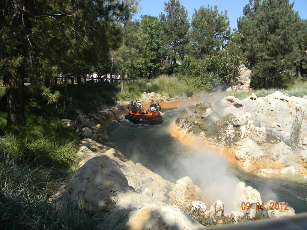 DSCN6595.jpg