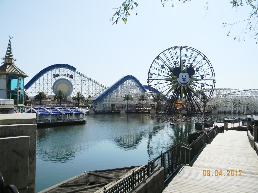DSCN6619.jpg