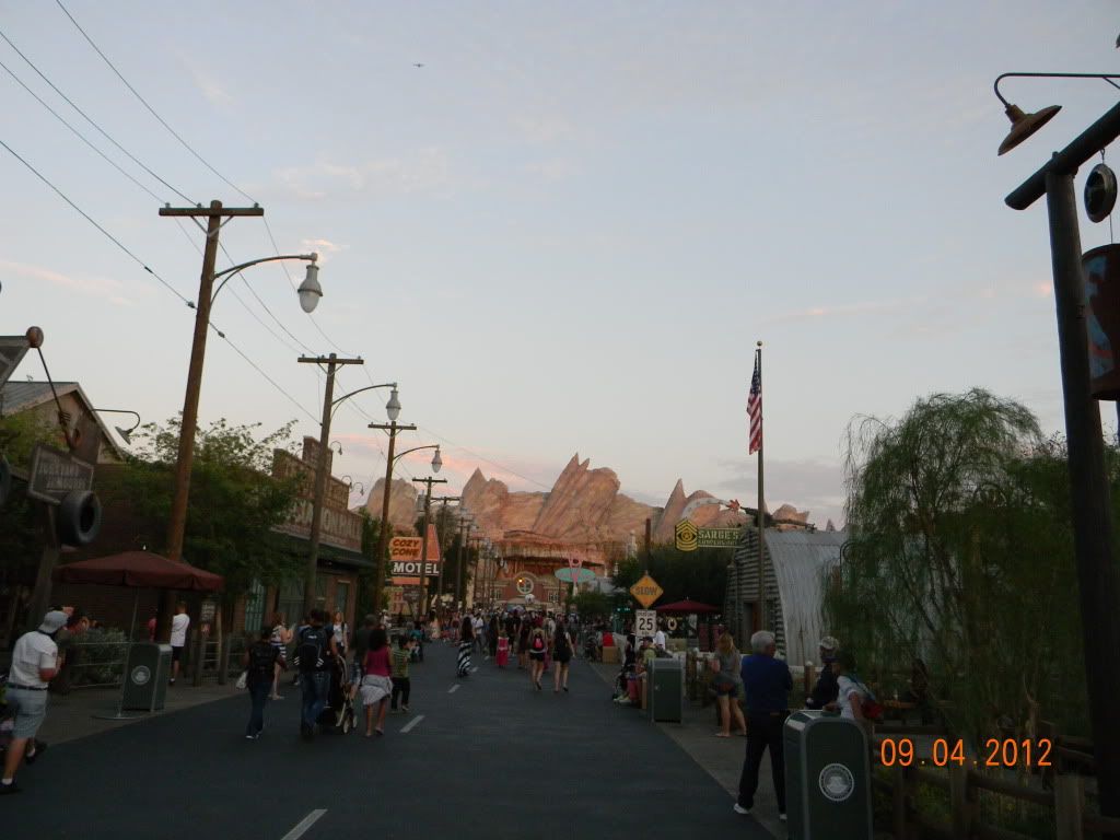 DSCN6701.jpg