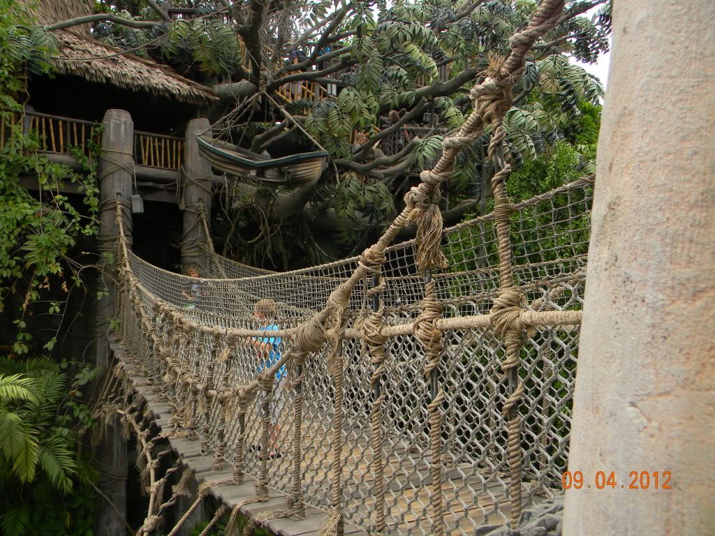 DSCN6752.jpg