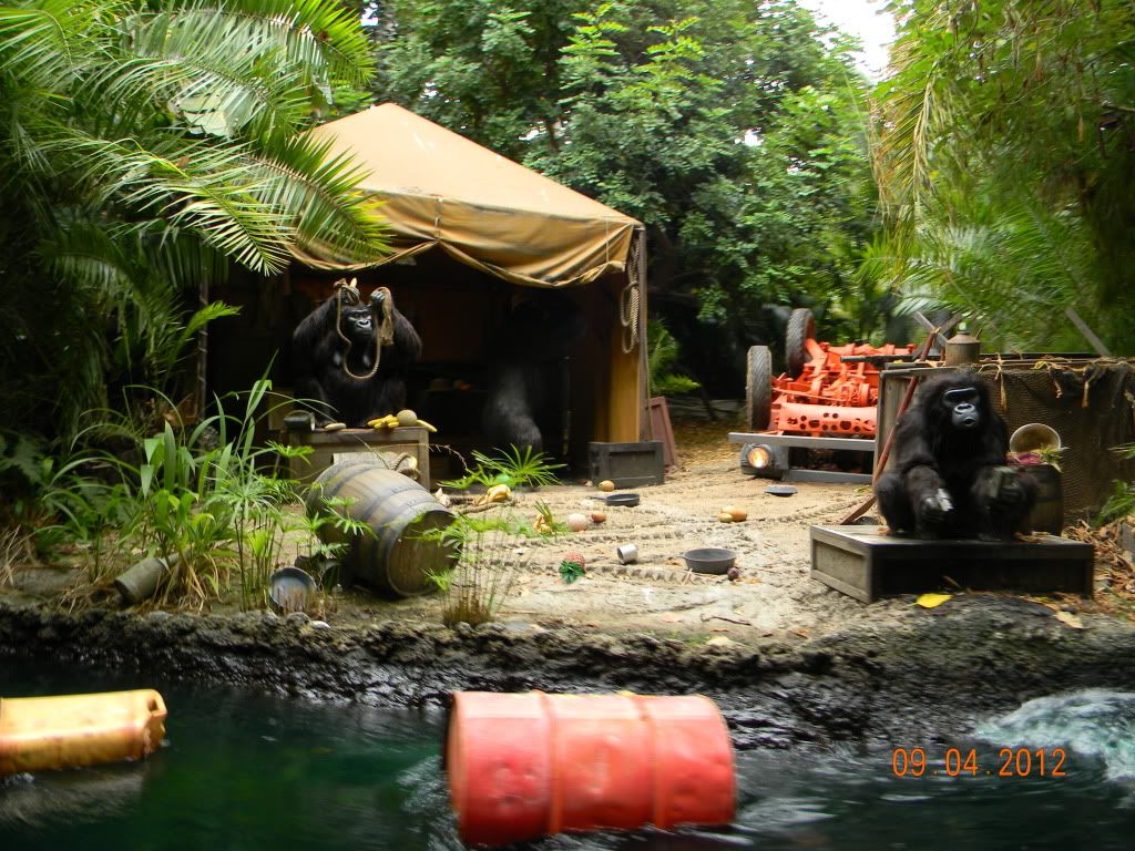 DSCN6765.jpg