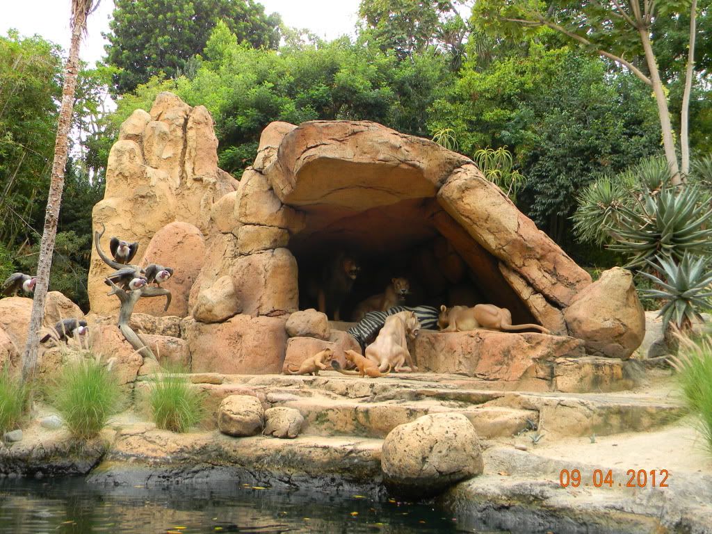 DSCN6769.jpg