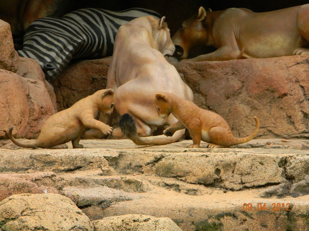 DSCN6770.jpg
