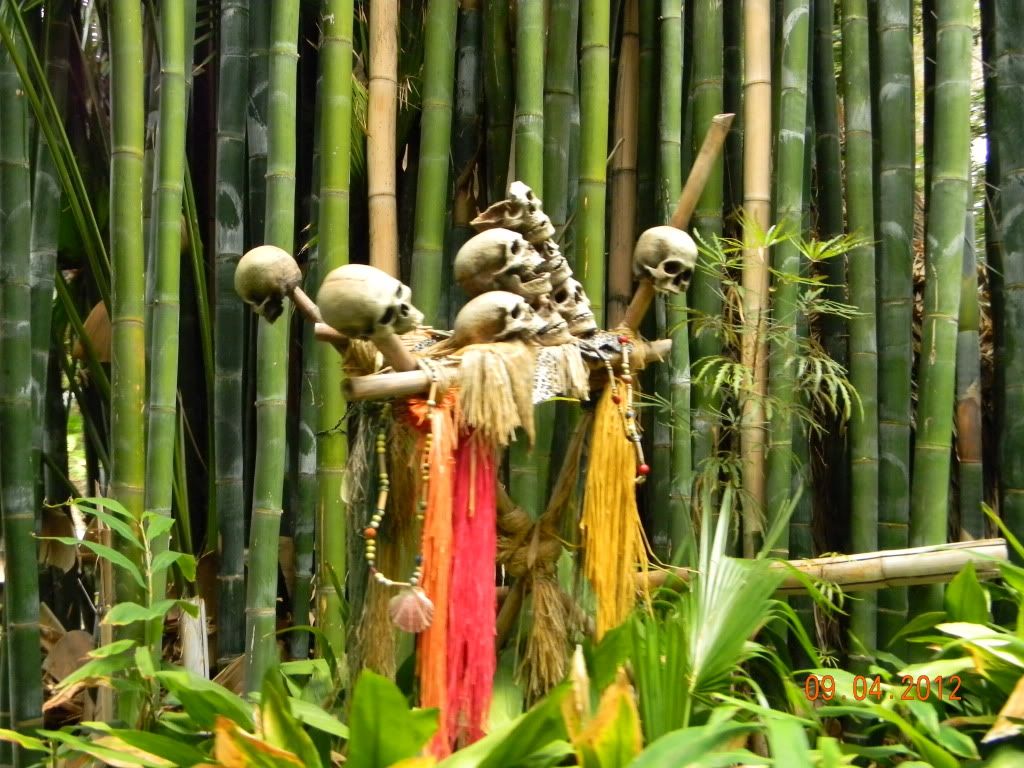 DSCN6775.jpg