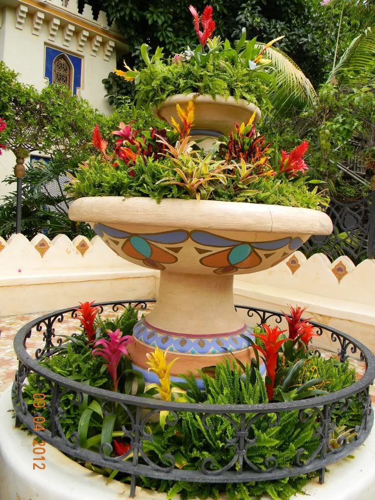 DSCN6777.jpg