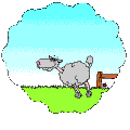 20.gif
