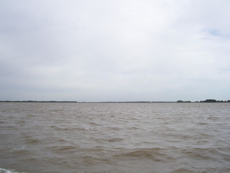 san pedro san pedro