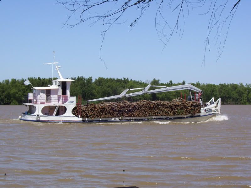 Pesca Pesca