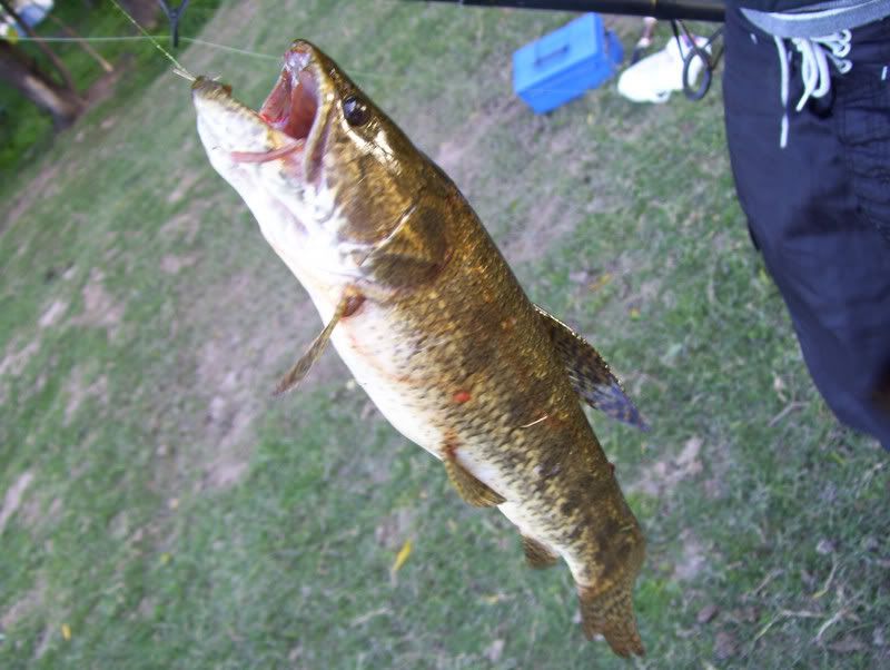 Salida de Pesca a San Pedro (Bs As) en fotos....Increibles Salida de Pesca a San Pedro (Bs As) en fotos....Increibles