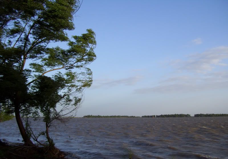 Pesca Pesca