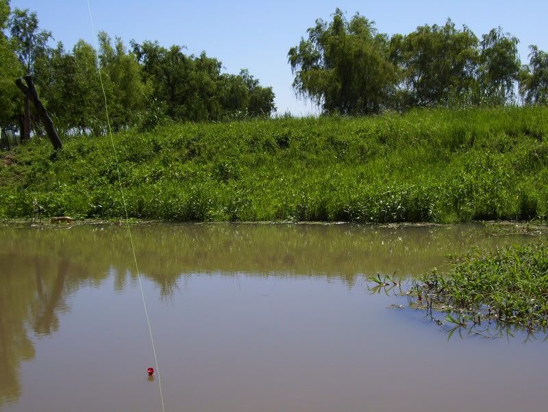 Pesca Pesca