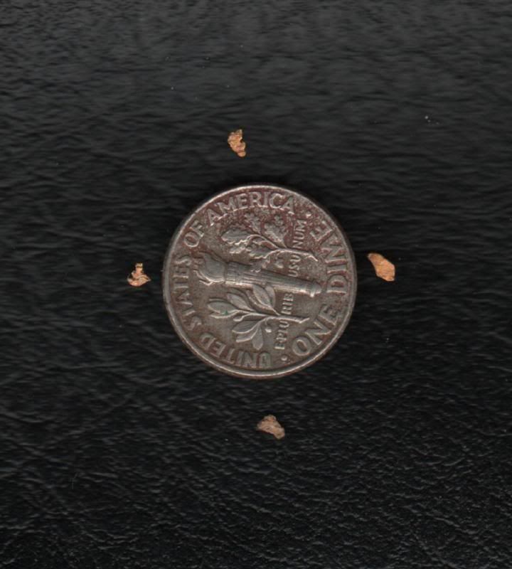 tiny.jpg
