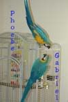Posted Image