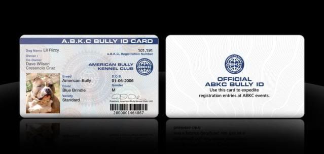 Abkc Bully Id