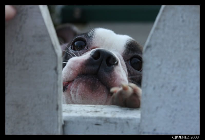 IMAGE: http://i35.photobucket.com/albums/d156/pryncyzz/Practice033-1.jpg