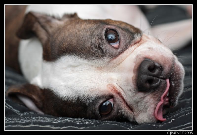 IMAGE: http://i35.photobucket.com/albums/d156/pryncyzz/Practice089copy.jpg