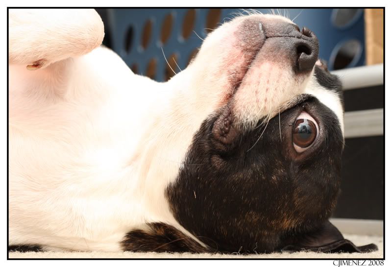 IMAGE: http://i35.photobucket.com/albums/d156/pryncyzz/Practice279copy.jpg