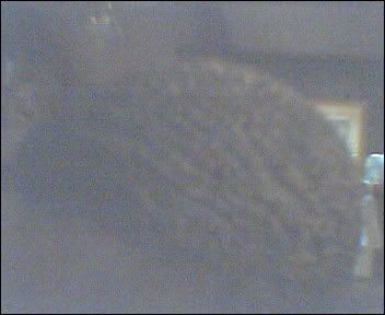PHOTO2.jpg