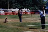 th_StockShow1996-Obedience.jpg