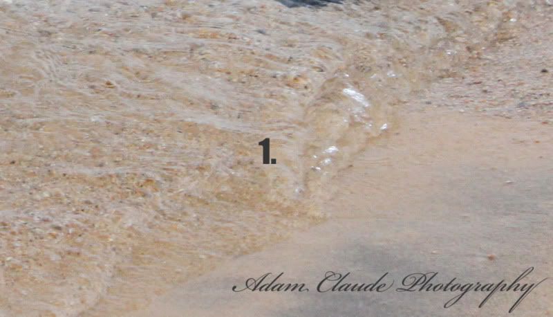 IMAGE: http://i35.photobucket.com/albums/d160/JeepinGoose/Watermarks/1.jpg