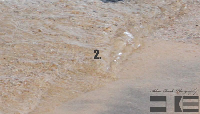 IMAGE: http://i35.photobucket.com/albums/d160/JeepinGoose/Watermarks/2.jpg