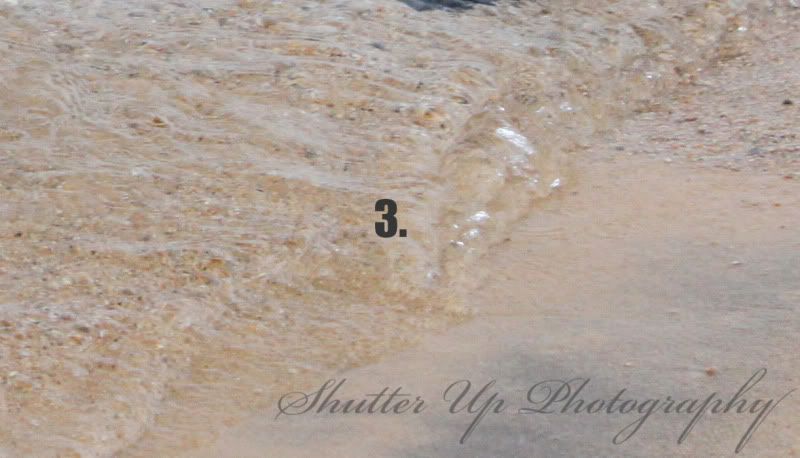 IMAGE: http://i35.photobucket.com/albums/d160/JeepinGoose/Watermarks/3.jpg