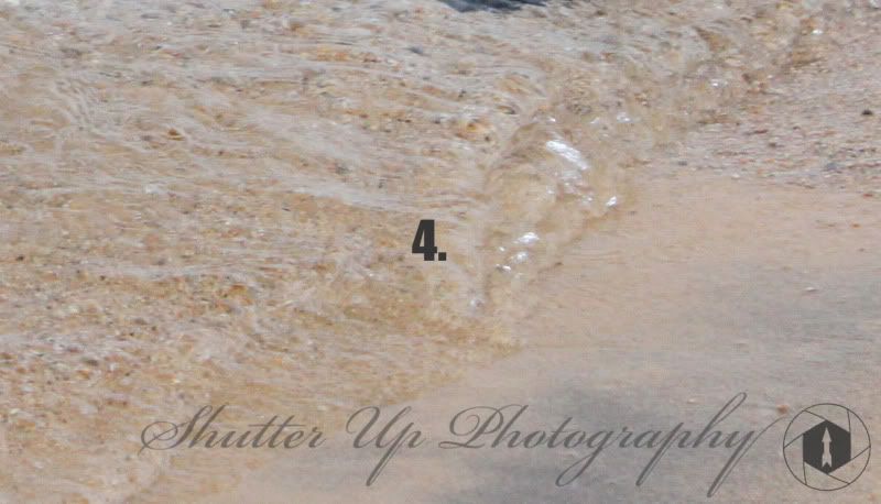 IMAGE: http://i35.photobucket.com/albums/d160/JeepinGoose/Watermarks/4.jpg