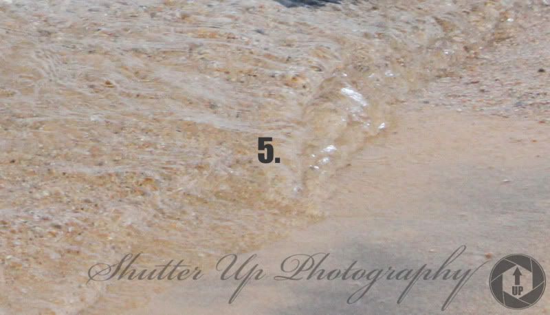 IMAGE: http://i35.photobucket.com/albums/d160/JeepinGoose/Watermarks/5.jpg