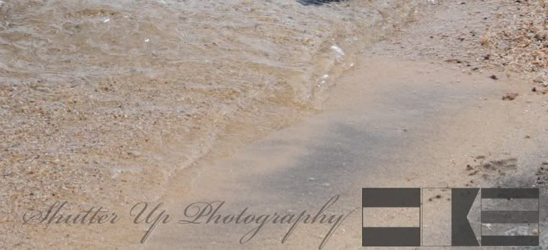 IMAGE: http://i35.photobucket.com/albums/d160/JeepinGoose/Watermarks/7.jpg