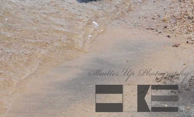 IMAGE: http://i35.photobucket.com/albums/d160/JeepinGoose/Watermarks/8.jpg