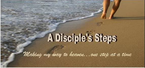 A Disciple's Steps