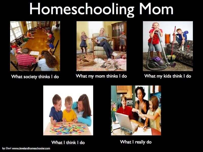 homeschoolingmom101_zps7c61b523.jpg