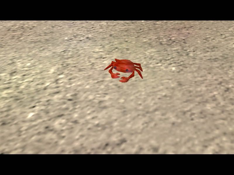 crab1.jpg