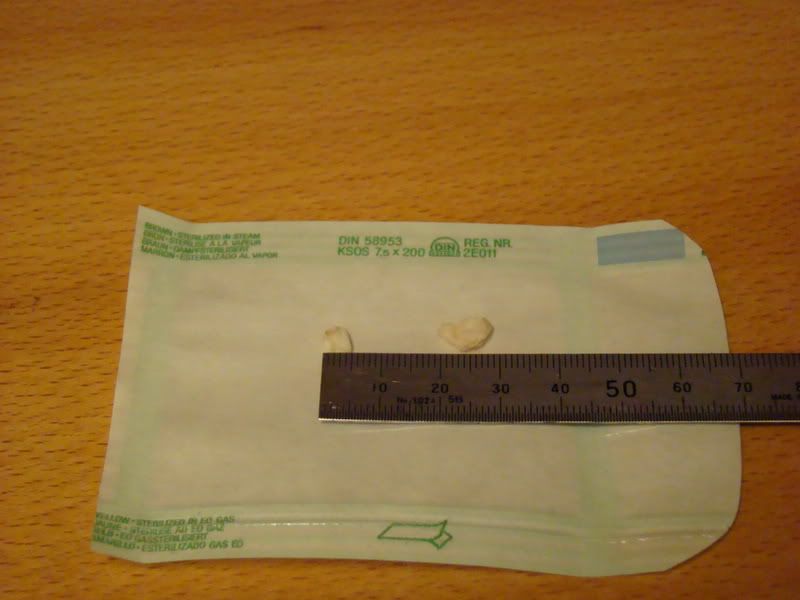 DSC00159.jpg