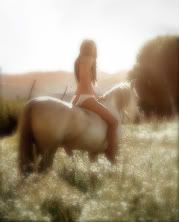 http://i35.photobucket.com/albums/d166/angelesea/horsefield.jpg