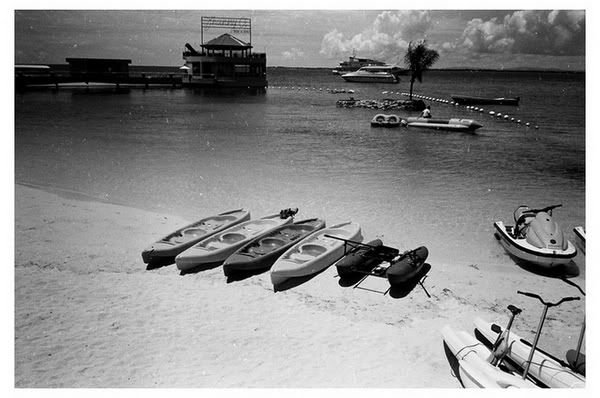 41410027beach.jpg