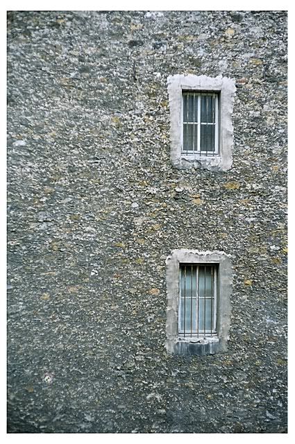 Window.jpg