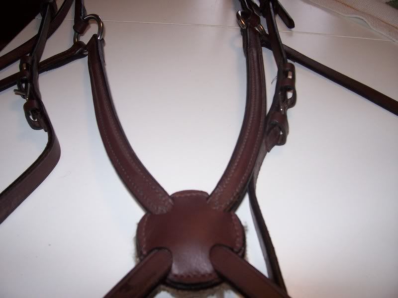 Bild203.jpg