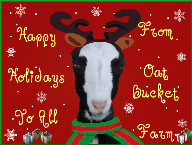 Happy Holidays! - Goats