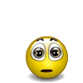 The image