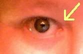 http://i35.photobucket.com/albums/d167/AnnoyingLizard/joeyeye.jpg