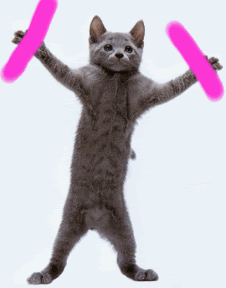 Cat n Glowsticks Pictures, Images and Photos