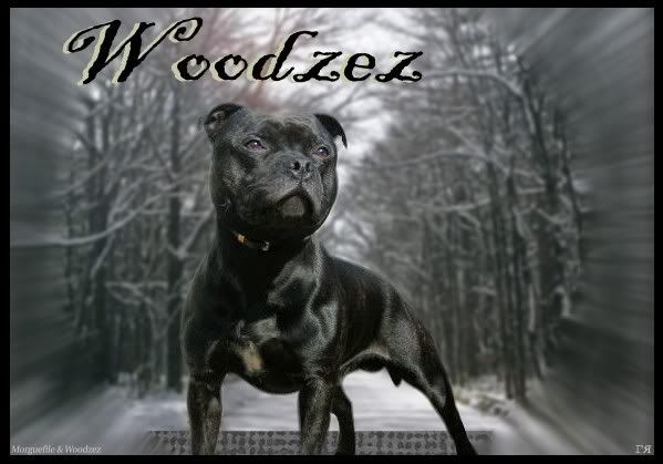 Woodzez Walk Of Life
