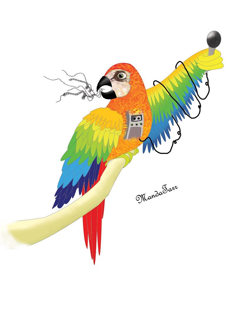 Parrot: Property of Amanda Tuntland Tarr