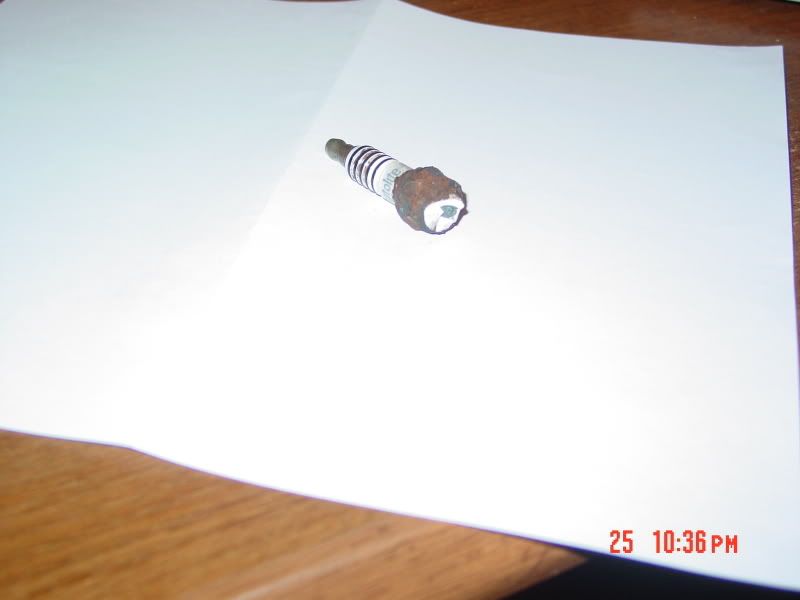 AutolitePPplug007.jpg