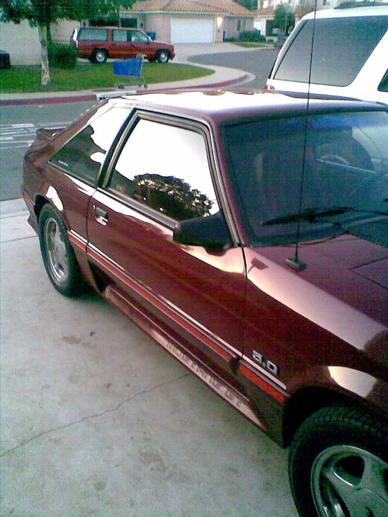 car1.jpg