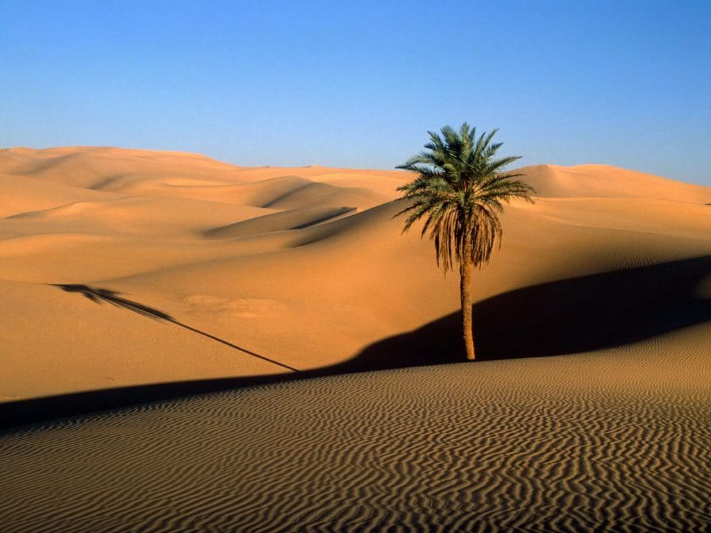 Sahara-Desert1_zps7344d202.jpg