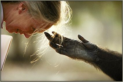 Jane Goodall photo jane.jpg